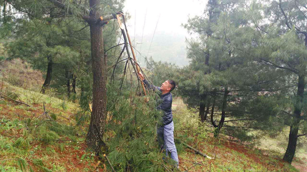 貴州開元員工巡查高壓線路紀(jì)實