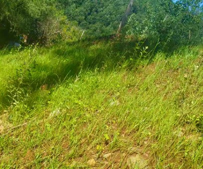 柳關(guān)欒盧鉛鋅礦|治理排土“瘡疤”，繪就綠色畫卷
